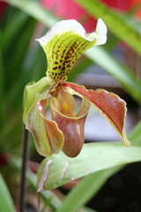 Killikus&reg; Fotographie